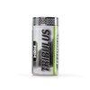 Tribulus Terrestris, Mdn Sports, 60 capsulas, Precursor Testosterona