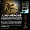 PVL Gold Series Domin8 | Pre-workout Superfuel - full dose