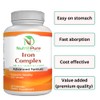NutritiPure Iron Complex, Complete Blood Building Iron Vegetarian Capsules with