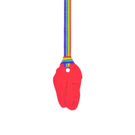 Oojamabobs Sensory STRONG Dinosaur pendant chew necklace - Autism - Red with lanyard (8 designs available!) (Rainbow Pride, 70cm Lanyard)