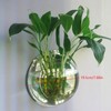 DSBAOMA Wall Mounted Fish Bowl Hanging Betta for Aquarium Wall