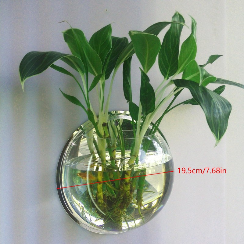 DSBAOMA Wall Mounted Fish Bowl Hanging Betta for Aquarium Wall