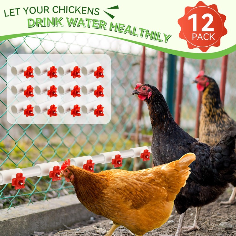 Enhon 12 Pack Chicken Nipples Waterer with 1/2'' PVC Tee