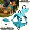 Dog Harness, Dog Harness, Rope Length 150 cm, 1 Dog