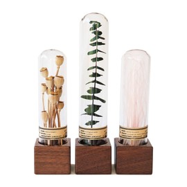 SKOGSKUNST Handcrafted Immortal Plants Glass Cloche Decor - Natural Shelf & Desk Sculpture for Home, Office, Bookshelf - Unique Gift for Plant Lovers, Women, Nature Enthusiasts (3-Piece Set)