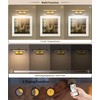 7Degobii Battery Operated Picture Light with Remote,Wireless Gallery Lights Gold