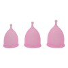Set De 3 Copas Menstruales Myyla Cup + Vaso +