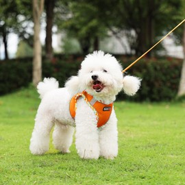 EarthPETS Step-in Checkered Pet Harness with a Free 59” inch Leash Included - Breathable Air Mesh for Dogs & Cats, with Reflective Straps, Safe Vest Built with Buckle & Double Metal Rings, Pink, XS