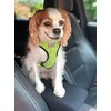Car Console Covers Plus Made in USA Neoprene Center Armrest