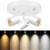 VANoopee 5 Color 3 Light LED Ceiling Spot Light Indoor