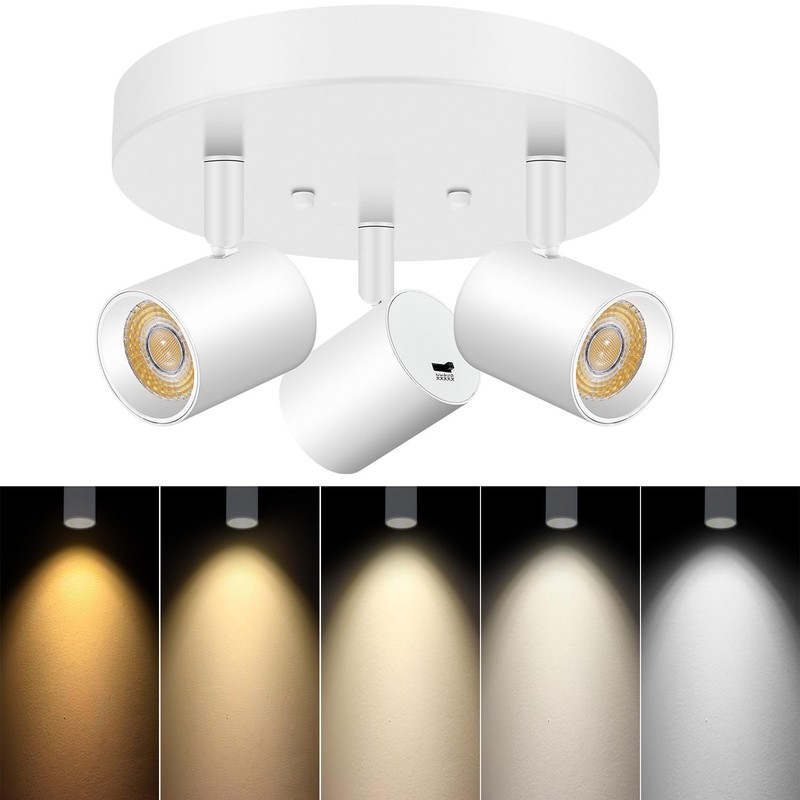 VANoopee 5 Color 3 Light LED Ceiling Spot Light Indoor