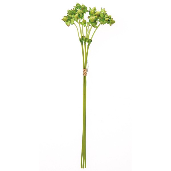 Asuka Artificial Flower Hippelicum Bunch Green Total Length: Approx. 14.2 inches (36 cm), Fruit: Approx. 0.4 inches (1 cm), 1 Bundle (Set of 3) A-47982-051A