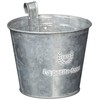 GREENHOUSE French Silver Tin with Hooks, Medium 3396-A