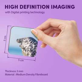 1 x Square MDF Fridge Magnet - ny Laughing Seal Harbour Sea 45102