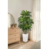 5FT Tall Artificial Dracaena Tree, Lifelike Faux Indoor Fake Floor
