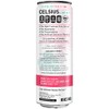 CELSIUS Essential Energy Drink, What's Your Vibe Variety Pack 12