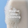 Safeguard Micellar Deep Cleansing Bath Bar Soap, Washes Away 99