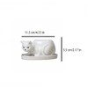 Leadigol Cat Shaped Ceramic Cactus,Cat Succulent Planter with Drainage,Cartoon Ceramic