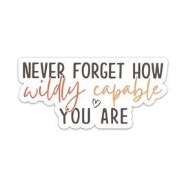Never Forget How Wildly Capable You are Sticker, Positivity Motivational Sticker, Inspirational Positive Vibes Waterproof Vinyl Stickers for Laptop Water Bottle Tumbler Phone, Encouraging Decals