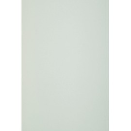 Netuno 50 Sheets of Craft Paper Mint Green DIN A4 210 x 297 mm 80 g Circolor Mint Colour Paper A4 Eco Copy Paper Coloured Paper Recycled Paper Printable Printer Paper Coloured Paper Coloured Paper