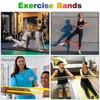SZHLUX Resistance Bands Set with Instruction Guide and Carry Bag,