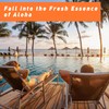 ESSLUX Clean & Hawaii Fragrance Oils Collection, Essential Oils for