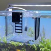 perfk Fish Breeder Acrylic Fish Breeder Isolation Box