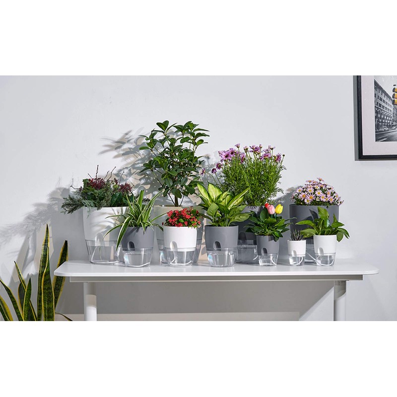 ETGLCOZY 6/4.1/3.2 Inch Self Watering Planter Pots, 5 Pack African