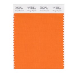 PANTONE Smart 17-1350X Color Swatch Card, Orange Popsicle