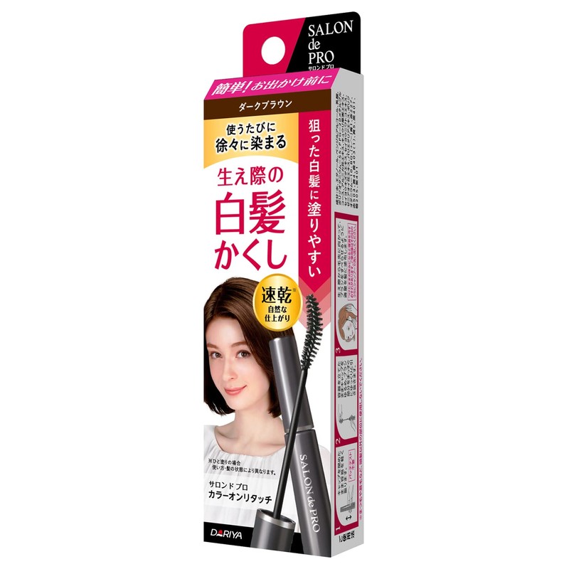 Salon de Pro Color Only Touch Gray Hair Concealer EX,