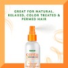 Cantu Leave-In Conditioning Mist with Pure Shea Butter, 8 fl