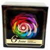 Q-FLA (Q-FLA) Soap Flower 1 Bloom Birthday Rainbow June Birthstone