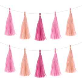 MECCANIXITY 15Pcs Light Pink,Pink,Rose Red Tassel Garland Banner with Rope Tissue Paper Tassels Party DIY Kits for Anniversary Wedding Birthday Party