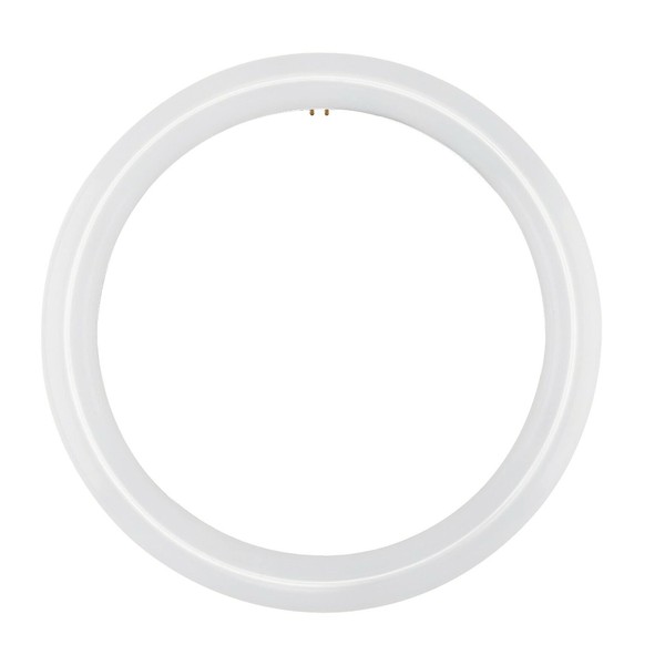 NYLL - 12 Inch/ 12" Plug & Play T9 Circline