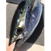 Nature Boys SN1180-03K Super Glow Stripe 180g Spin Rider Deep