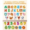 JoyCat Magnetic Letters and Numbers Fridge Magnets, 26 Uppercase Letters