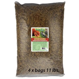 Naturespeck Dried Black Soldier Fly Larvae 11-15-22-44 Lbs. Natures Wild Bird food ®USA - 44lbs.