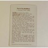 Golden Press Mammals Golden Press Card Game Sealed Pack Of