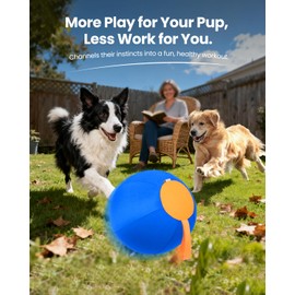 Tychesy Herding Ball for Dogs, 18-Inch Fun Play Toy for Large Dogs, Inflatable Ball with Strong Oxford Cover for Active Play