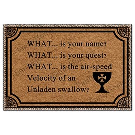 EmilyHome Funny Door Mats Outdoor Entrance, Entryway Rug 'What is Your Name and The Holy Grail' 23.6 X15.7 Inch Doormat
