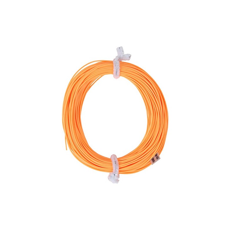 Fly Line Double Taper Floating 100FT Fly Fishing DT DT-4F