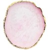 Resin Nail Art Palette, Nail Polish Color Mixing Palette Nail