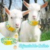Talltalk Goat Collars with Bells Grazing Copper Bell and Adjustable