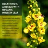 GORNVB (2 Pack) Mullein Drops for Lungs - Lungs Cleanse