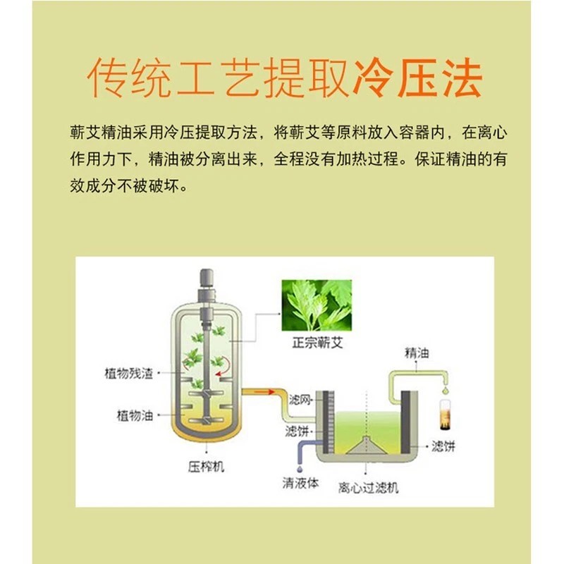 Wormwood Moxibustion Moxa Warm Essential Oil 30ml