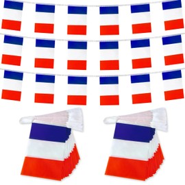 TSMD 2 Packs France Flag Banner French Flags String Small Mini Hanging Flags Decorations,60 Feet 40 Flags