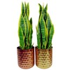 Botanik Premium Metal Planters