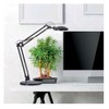 Tensor 10C-005 Portable LED Architect Desk Lamp with Clamp Attachment,
