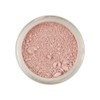 Rainbow Dust Edible Matt Powder Dust Colour 4g Dusky Pink