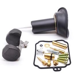 Carburetor Repair Kit, Suitable for YM Villago XV250 Carburetor Plunger Assembly, Injection Needle Assembly with Float (1)
